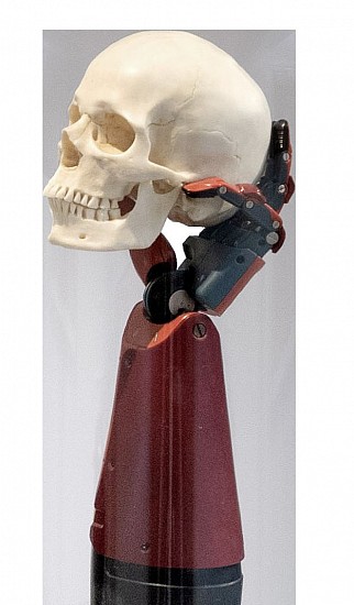 MICHAEL MACGARRY, PERMANENT PROGRESS
2026, FOUND OBJECT, ZINC - PLATED MILD STEEL, ENAMEL, 1/3 SCALE POLY- URETHANE SKULL