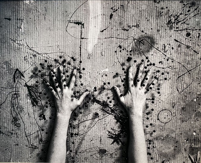 SANELL AGGENBACH, FLORES FERAE (BROAD)
2022, -<br />
CARBON BASED INKS ON HAHNEMUEHLE MUSEUM ETCHING 350GSM PAPER