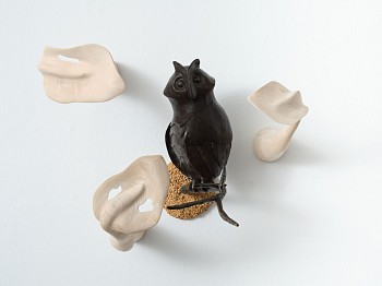 owl