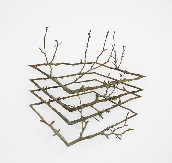 GERHARD MARX, ESPALIER SERIES II
2026, BRONZE