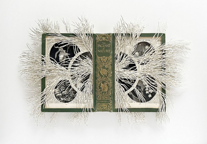 BARBARA WILDENBOER, THE PAGEANT OF NATURE
2026, Altered book